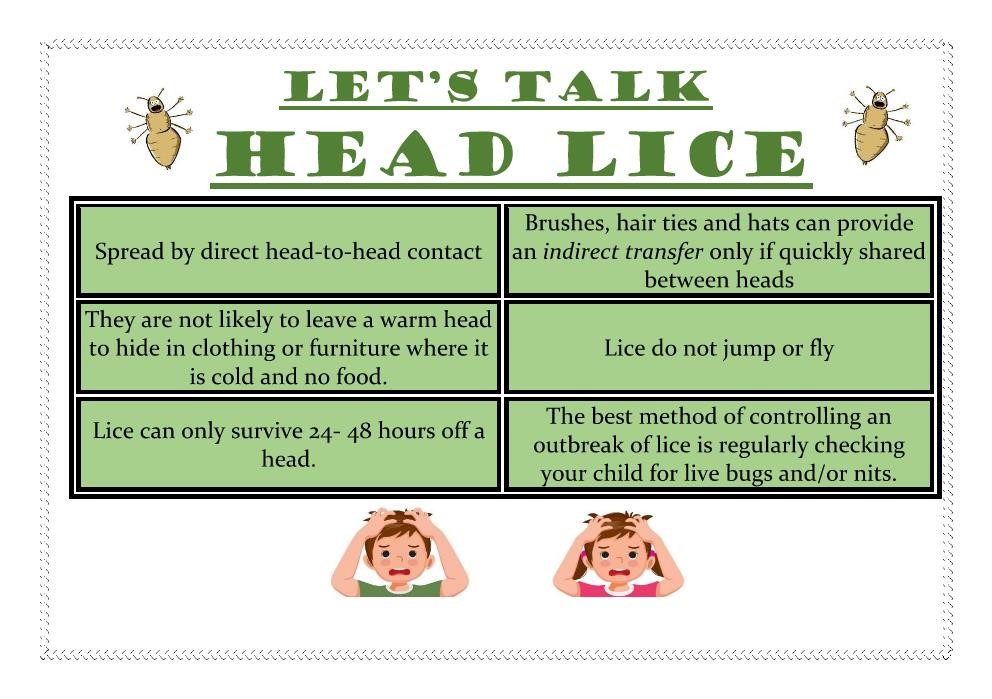 Lice Facts Health Clinic